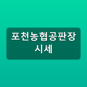 포천농협공판장 시세