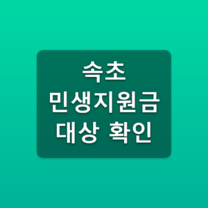 속초 민생지원금 대상 확인 6월 30일 주소와 20만원 조건 5 속초 민생지원금 대상 확인