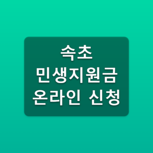 속초 민생지원금 온라인 신청 CHAK 등록 3단계 방법 6 속초 민생지원금 온라인 신청